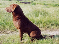 Duncan