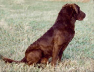 Montana