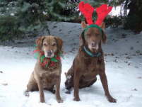 Christmas 2008 - Yakity & Player