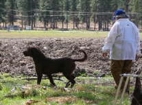 Charlie On the Line ACC Specialty 2007