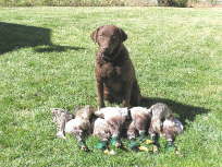Lexi with a day's hunt